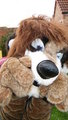 OHAI DER! - [Generic Fursuit Snap] by Meeple
