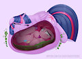 Twilight Sparkle's Special Treat