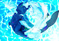 [COM] YingYang Swim