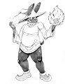 Magic Jackal