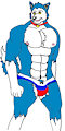 exile russia flag speedo