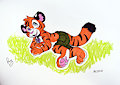 Axel Tiger