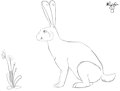 Munchin' Mushbun (Animated!)