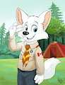 Pent the boyscout