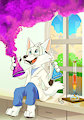 Foxy Science