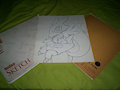 Two large sketch books and renamon pic
