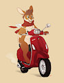 Beep beep bunny coming through!
