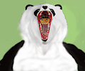 Last Gulp Of The Panda