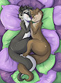 A Soft Place