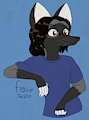 [Character Concept] Silver Fox