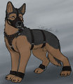 Sheppy bondage :3 by Gizgiz