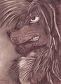Rocky Portrait