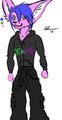 Rave Foxy