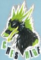 Cheshire Newspaper Badge