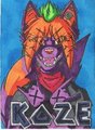 Koze
