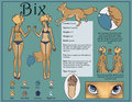 Bix Reference Sheet