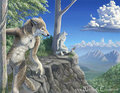 July 2011 by Myenia