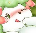 Shaymin