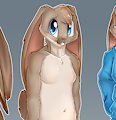 *C*_Jayson the bunny