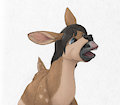 lil deer