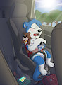 Car Naps (2017)