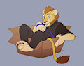 Rawr in the Box
