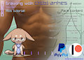 Drawing with Chibi-Anhes (2º edition)