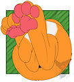 Paws and Tail