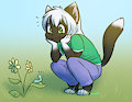 Nature Watching (by Saucy)