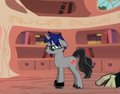Pony Ether