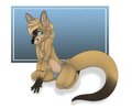 Cameron, the swamp wallaby. by Cameron