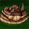 Anaconda Icon Commission