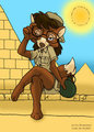 Another hot day in paridise by BARK