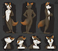 Murana Wolford Ref Sheet - By Temiree