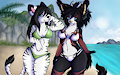 Bikini Buddies