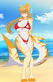 Life Guard on Duty