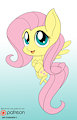 Fluttershy chib