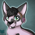 .: That Hairless Cat :.