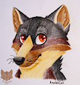 .: Fox :.