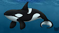 .: Deep Blue Ocean :.