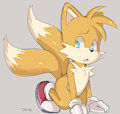 Tails by Dandi