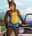 Car wash