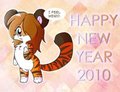 Year of the Tiger