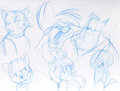 Random by ShrewGirl