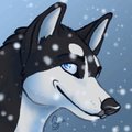 Minnow Icon
