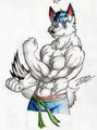 DjDarkfox by ZodimWolfclaw