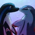 Dolphin Kiss