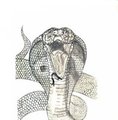 King Cobra