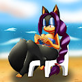 A Day At The Beach