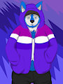 Hoodie Dog by matthewfox